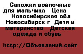  Сапожки войлочные для мальчика › Цена ­ 500 - Новосибирская обл., Новосибирск г. Дети и материнство » Детская одежда и обувь   